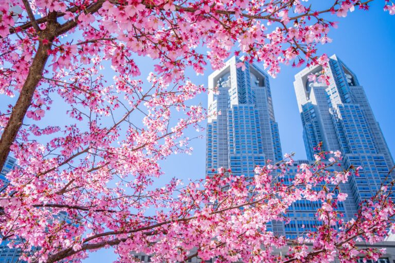 Tokyo, Japan