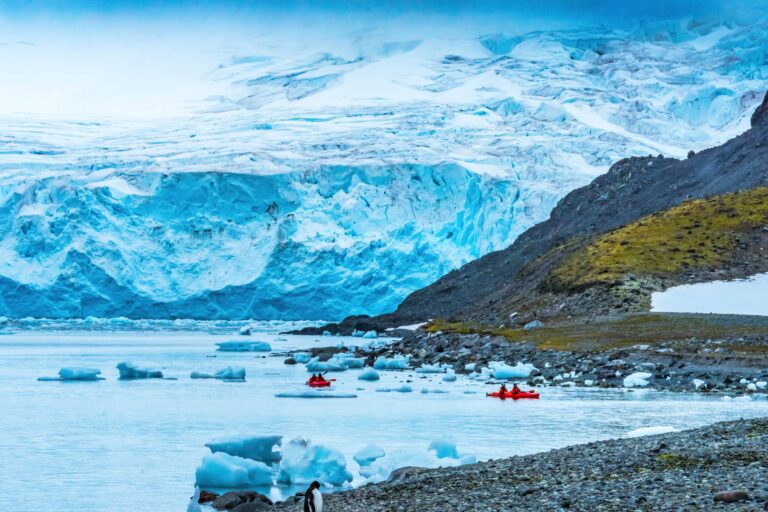 Antarctic experience