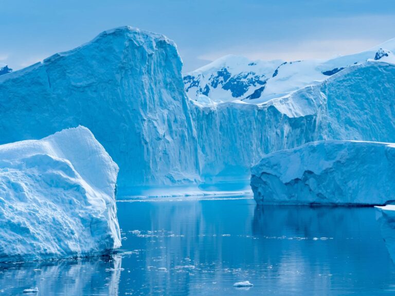 Antarctic experience