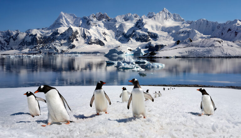 Antarctic Peninsula
