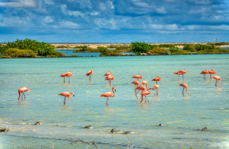 Kralendijk, Bonaire