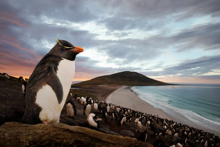 South Atlantic Ocean