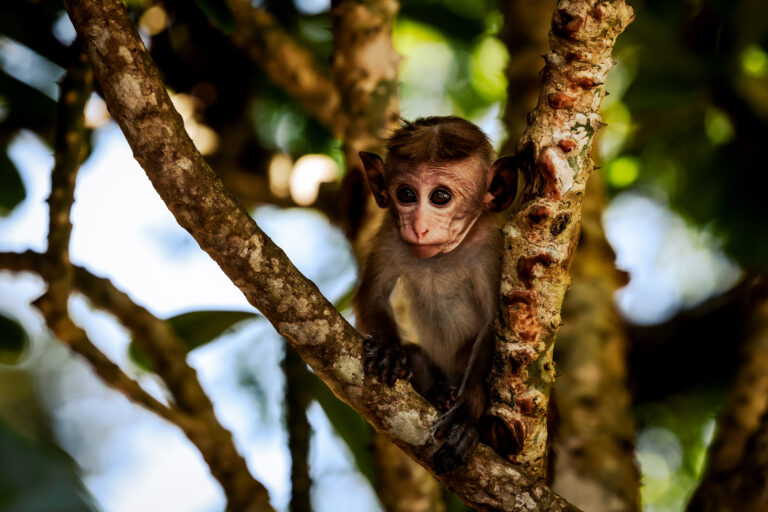 Hambantota, Sri Lanka