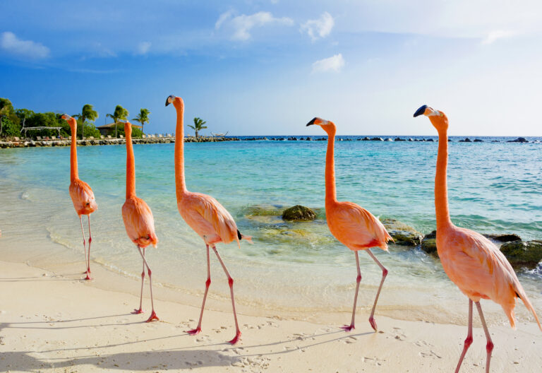 Oranjestad, Aruba