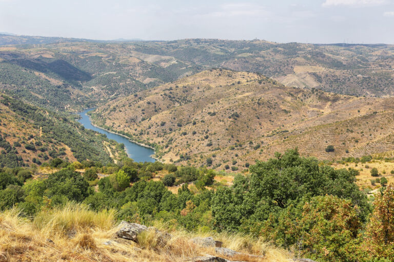 Vega de Terron, Spain