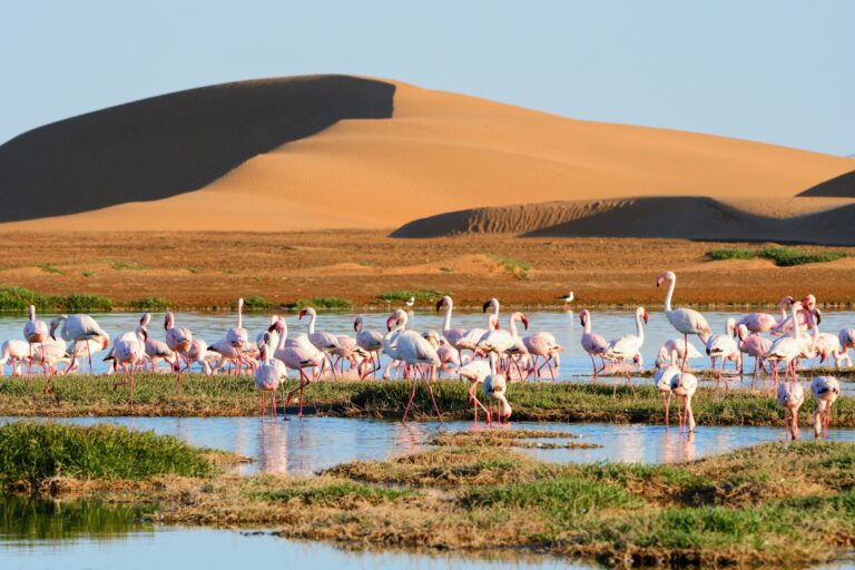 Walvis Bay, Namibia