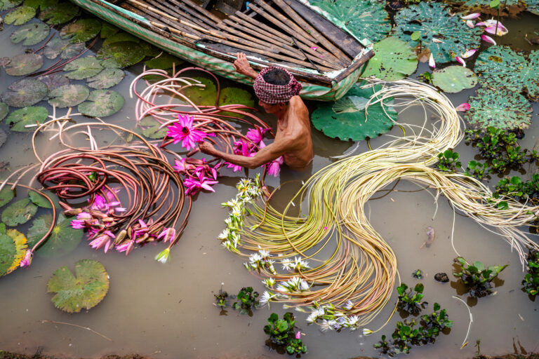 Vinh Long